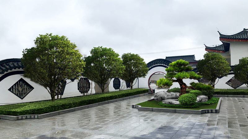 绿植租摆与购买：如何选择最适合您的方案