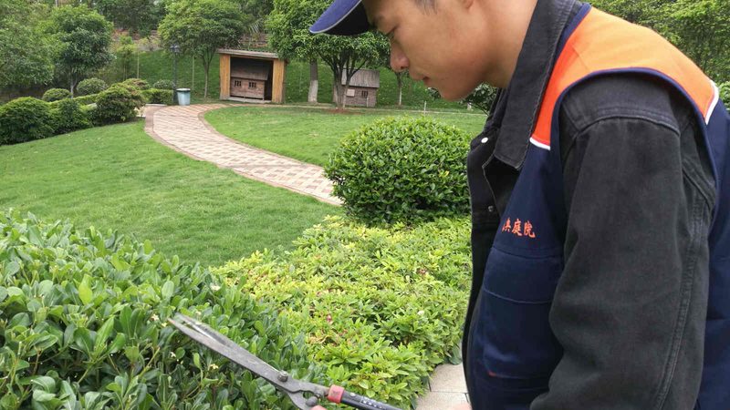 山地苗木裸根种植的五大关键技巧