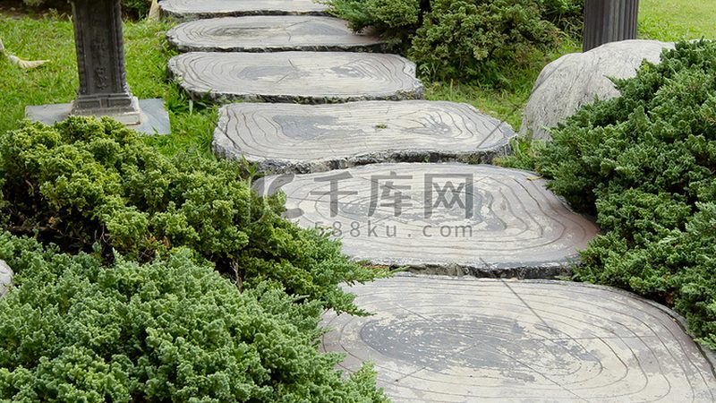 垂直绿化：打造城市绿墙，规范与价格解析