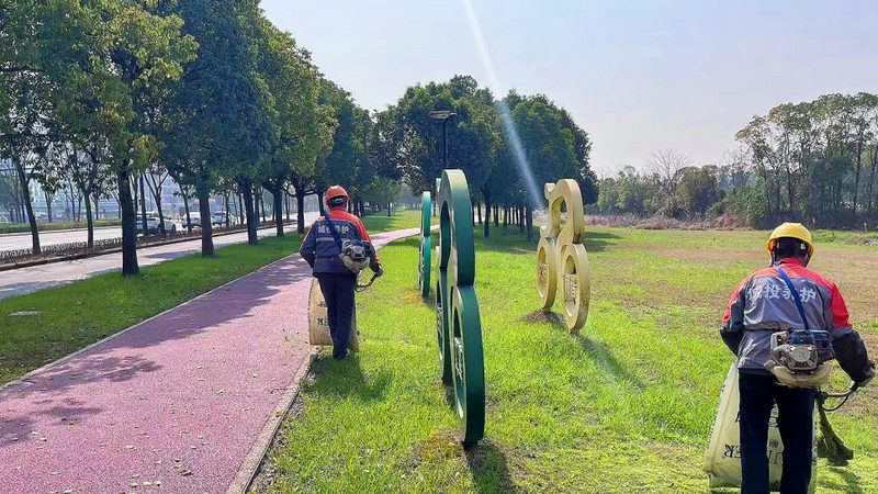 草坪铺设设备：揭秘批发价背后的选购逻辑