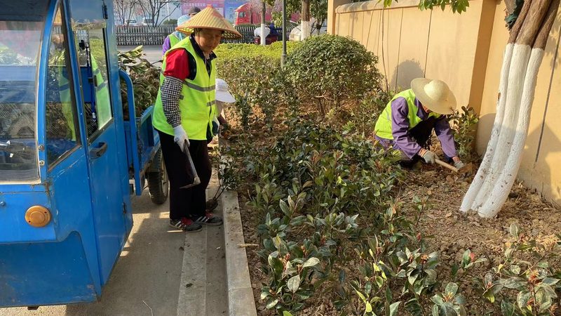 绿化工程招标文件技术规范要求解析**