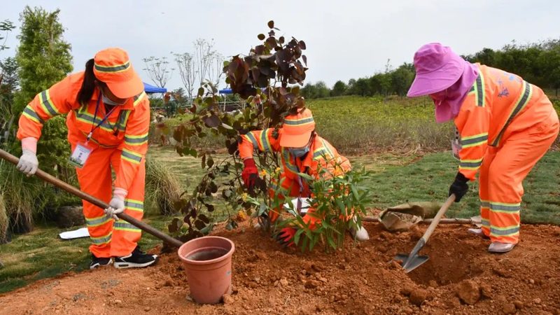 校园园林绿化工程招标：关键要素与注意事项**
