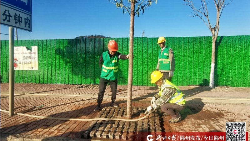 苏州庭院设计公司定制方案：打造专属绿意空间**