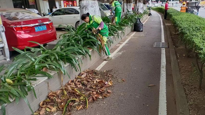 草坪铺设验收标准上海：关键要素与验收流程