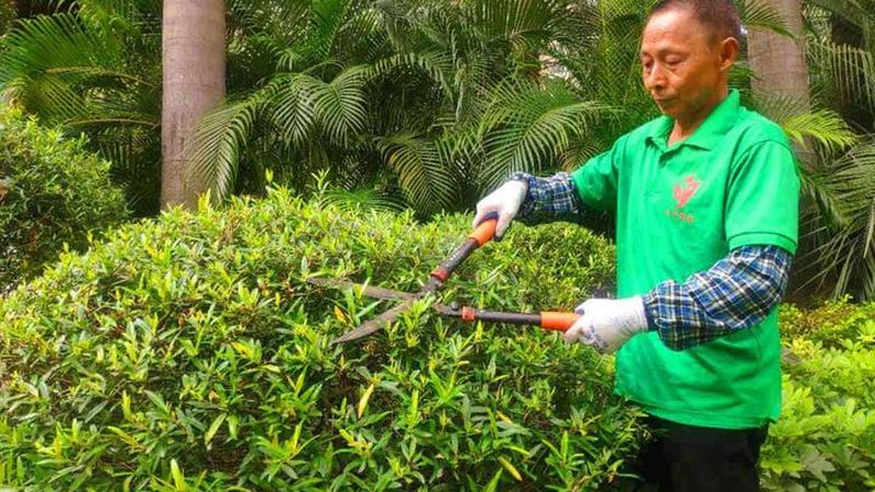 园林公司经营范围与标准流程解析**