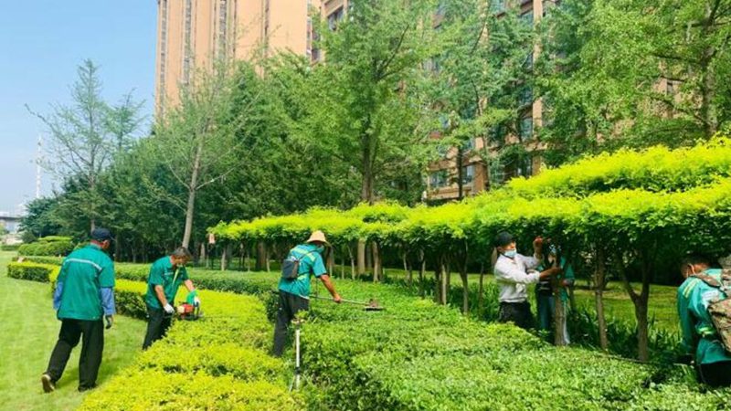 私人别墅庭院园林绿化：报价清单背后的考量**