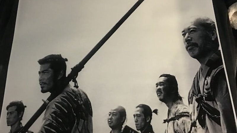 道路绿化养护成本揭秘：一平米一年究竟多少？**