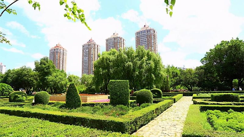 立体绿化：不只是美观，更是未来城市发展的关键**