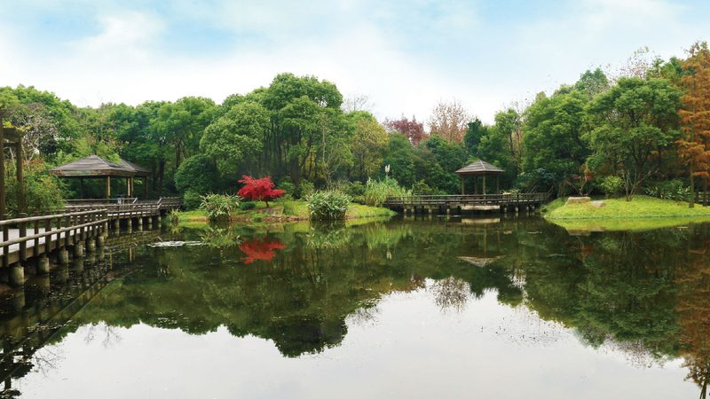 小区物业花卉租摆方案设计：如何打造四季如春的居住环境