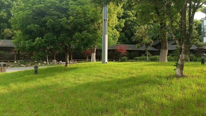 高端住宅绿化工程：报价背后的考量因素**