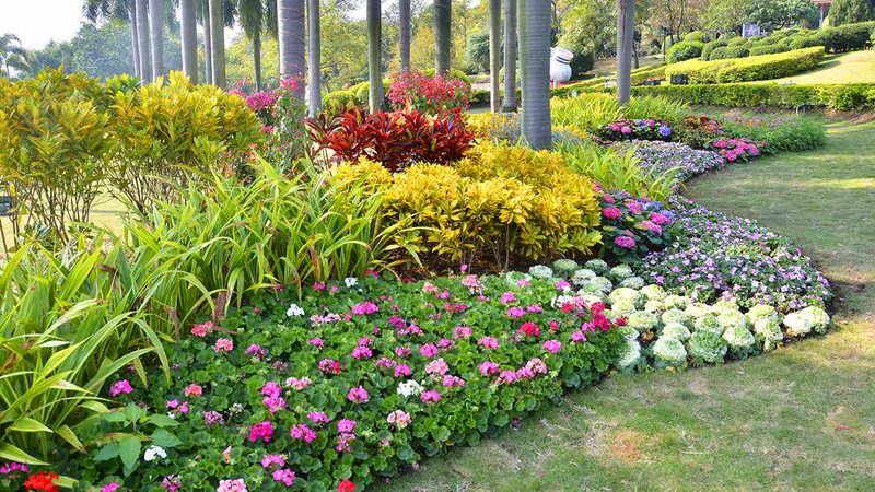 屋顶绿化植物种植步骤解析